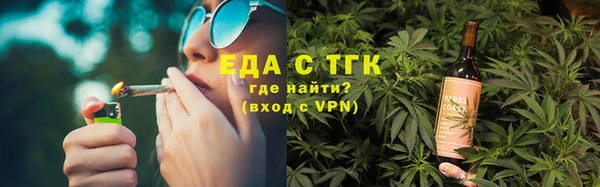 ECSTASY Богданович