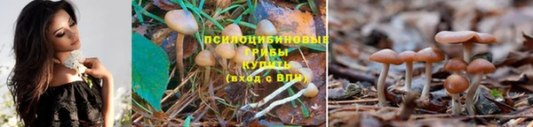 таблы Богородицк