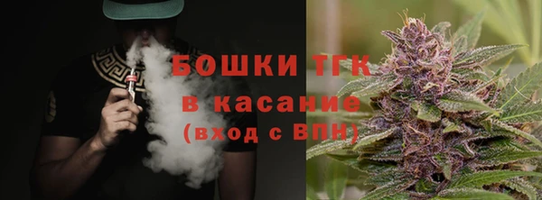ECSTASY Богданович