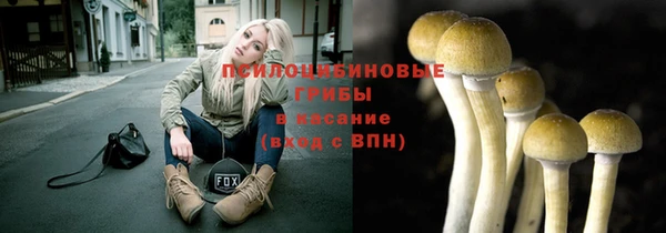 таблы Богородицк