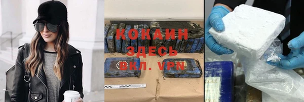 ECSTASY Богданович