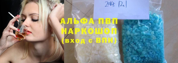 ECSTASY Богданович