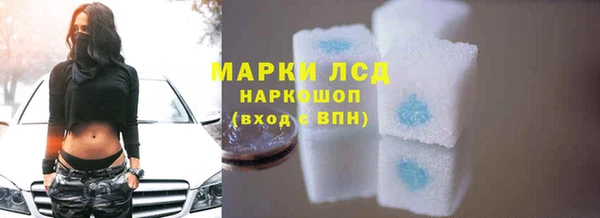 ECSTASY Богданович