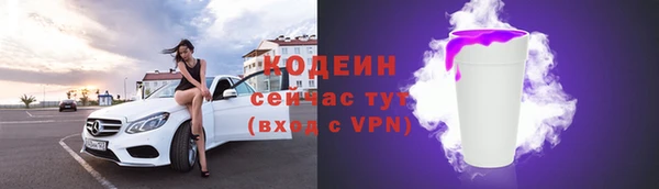 мдпв Богородск