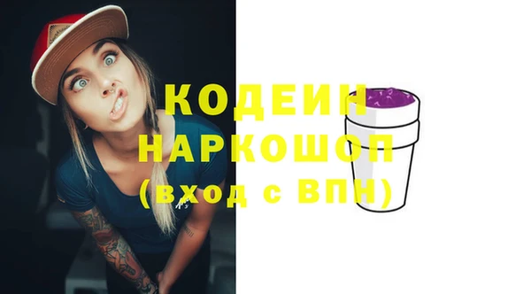 ECSTASY Богданович