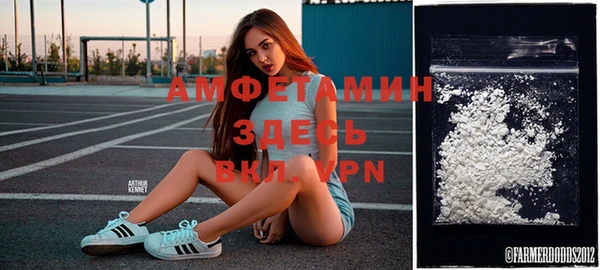 мдпв Богородск