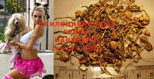 ешки Белокуриха