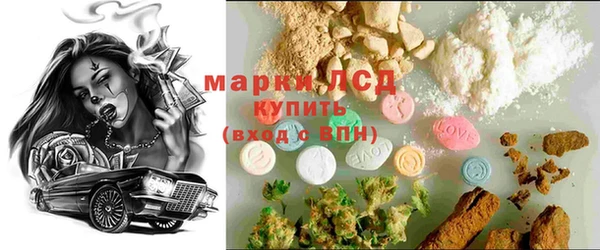 ECSTASY Богданович