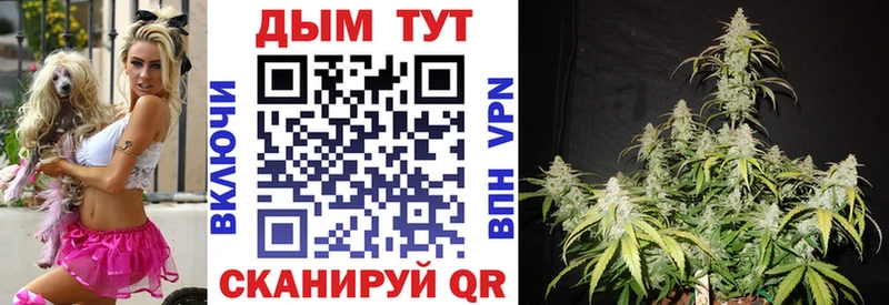купить наркоту  Мурманск  Конопля AK-47 
